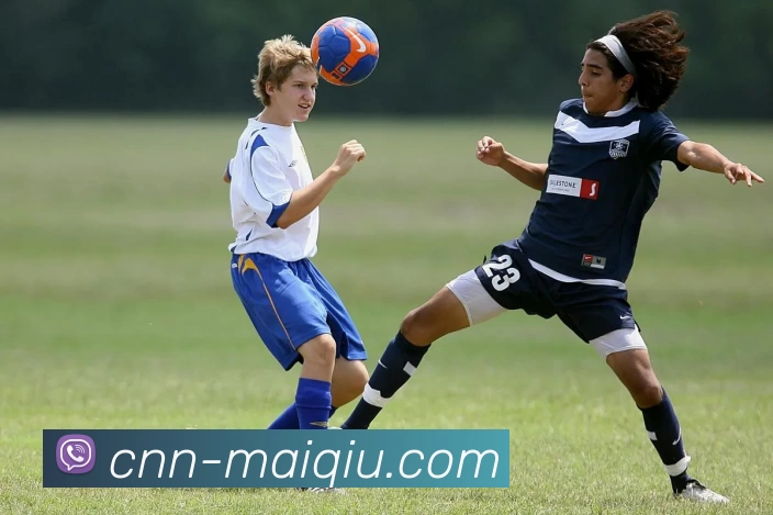 买球线上官方发展历程